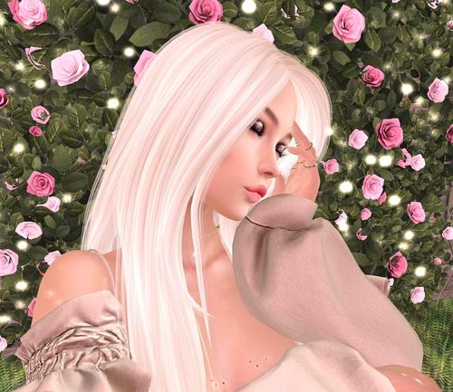 Web 5ae61f0c73ed175ddb000001