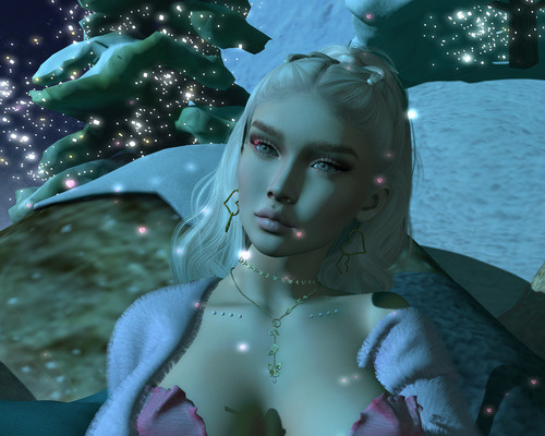 Web 639e195940f40a6af24e014b