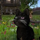 Thumb 56a931a576408b3612000001