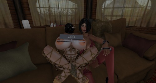 Web 561d77793f942f74ad000001