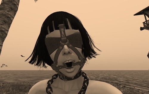 Web 56ce1a89e85cda62aa000001