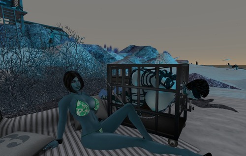 Web 56ddf593e85cda55db000001