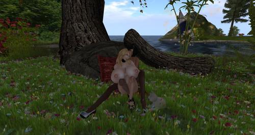 Web 596d19d4d774f87643000001