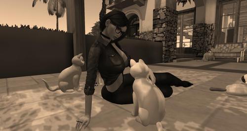 Web 5e346a66d774f8504c5a345d