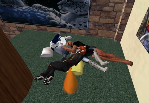 Web 500daee33040b347cf000001