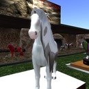 Thumb 55e8b00ef8a1ec6c50000001