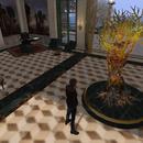 Thumb 61c1b3dfb8a7b6488f4e0d31