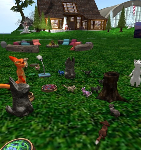 Web 50cde21ac5217764b6000001