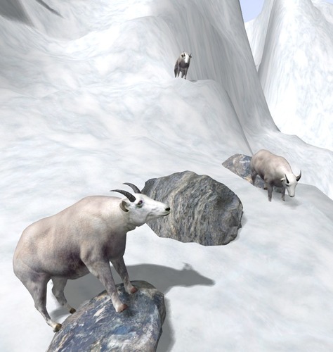 Web 511fbca27a0cea6c72000001