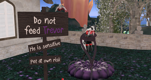 Web 6534a7199e52b1777ce2bfa1