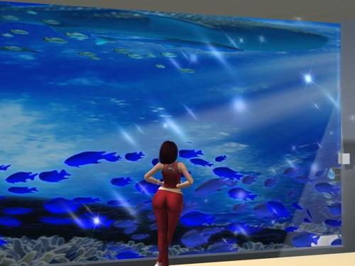 Web 5ae4db9cd774f86744000001