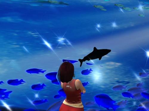 Web 5ae4dbb5d774f86932000001