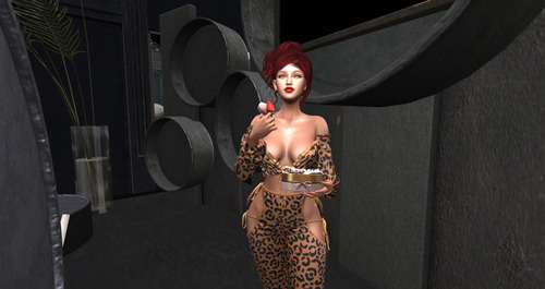 Web 65d0348d4f09d9575db3de95