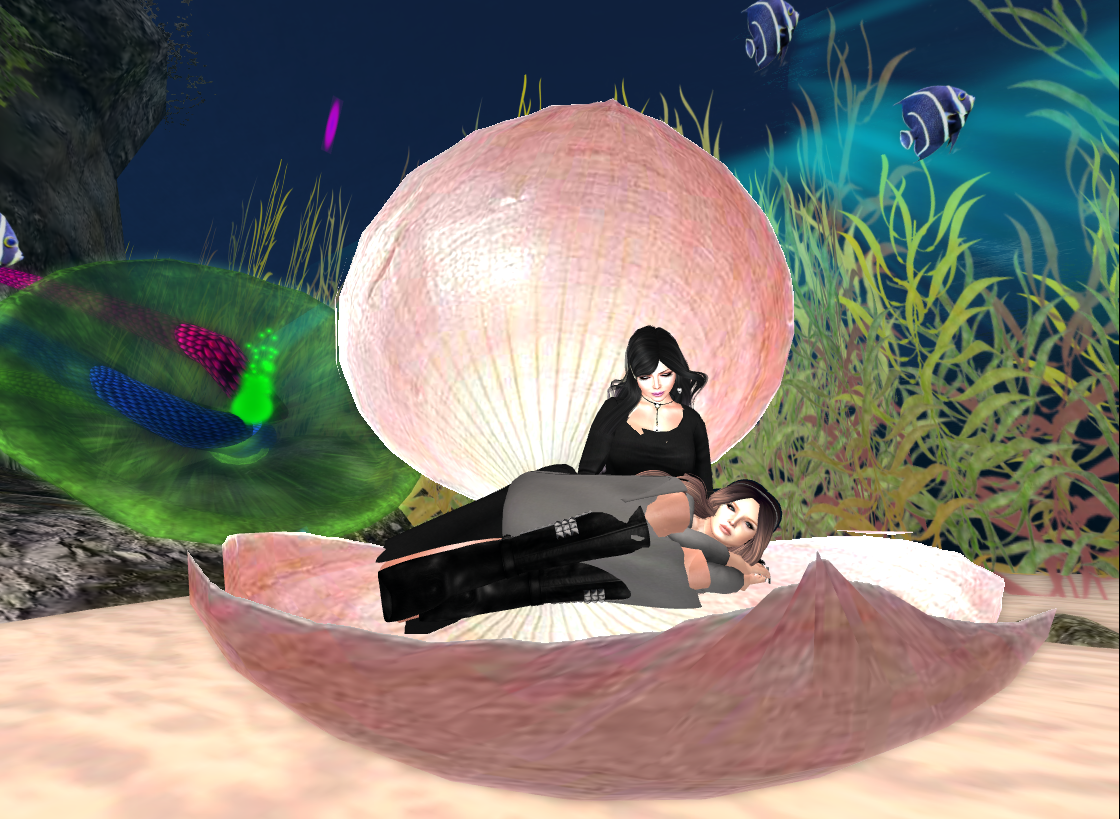 Original 5416e584128cc95e7e000001