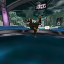 Thumb 5334d993128cc95ee1000001