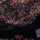 Thumb 5402008ca73e215018000001