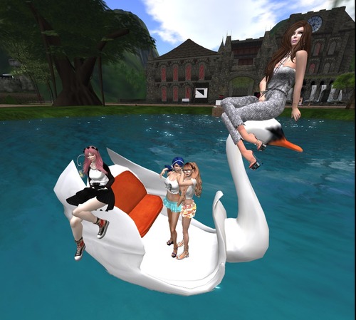 Web 5412f8668da5725b2a000001