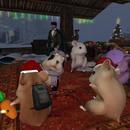 Thumb 5fe0fd5f29cc7b60a0da7fc1