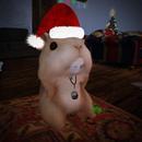 Thumb 5fe16bad5beacd1080e637d2