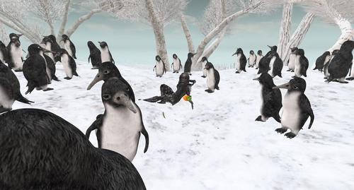 Web 601cd2f45ecbbc6f48bf2eca