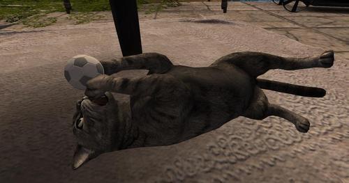 Web 621c2c7b7ba927371bc31d24