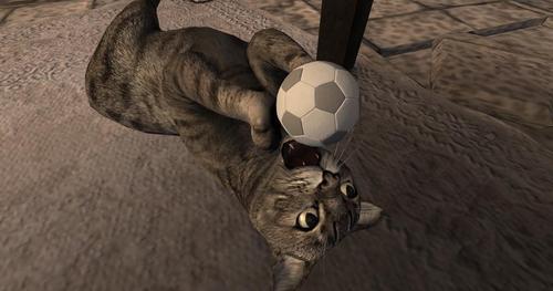 Web 621c2d34416a3946ad5baa9e