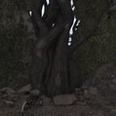 Thumb 5b9d51dcd774f82e5f000001