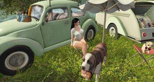 Web 5af7899fd774f81422000001