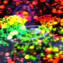 Thumb 5b816519d9859c6039000001