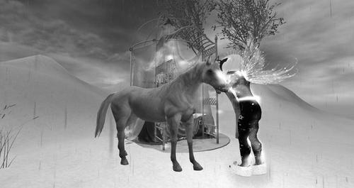 Web 5d3dba3cd774f81266000001