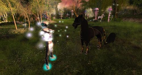 Web 5d47fdae73ed172a77000001