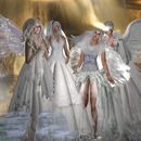 Thumb 50da5edc7de24c79ee000001