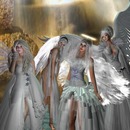 Thumb 50da668a6a8bc6618a000001