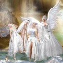 Thumb 50da6af7bd8fa0634e000001