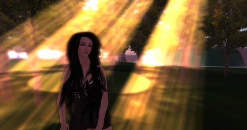 Web 510f524042a31219a2000001