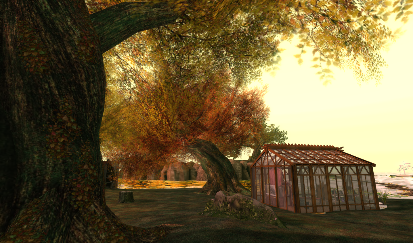 Original 54196faf8da57208ef000001