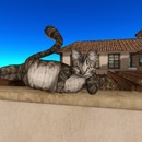 Thumb 532f78738da572472a000001