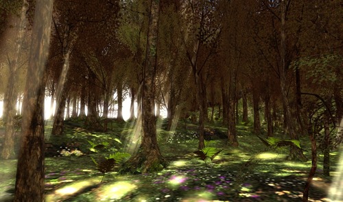 Web 53421d81128cc95ff6000001