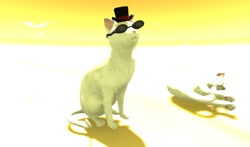 Web 53dda02da73e210f0b000001