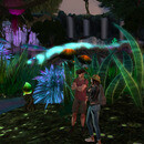 Thumb 660f7a40f319e82cb4145614