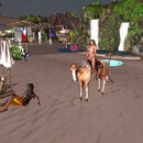 Thumb 6706846441a8f36f6e61888a