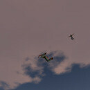 Thumb 67820d502773f3096c65832a