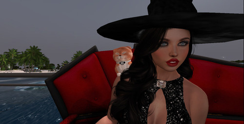 Web 670fb938c892c8704d846f77