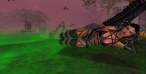 Web 6714f9e28205392a6e47e3e8