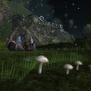 Thumb 51d32cdfcb530c511b000001