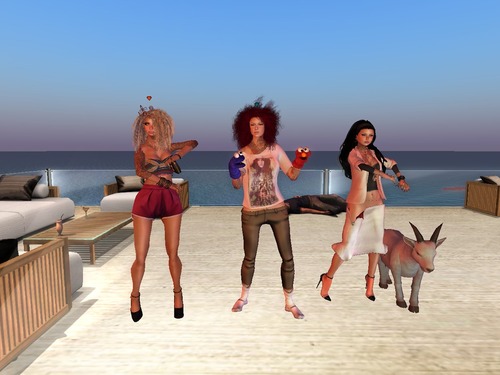 Web 5220d4fdca85ed6555000001