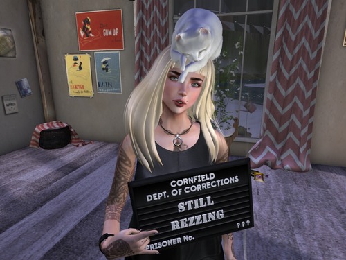 Web 5571488bf8a1ec5dd7000001