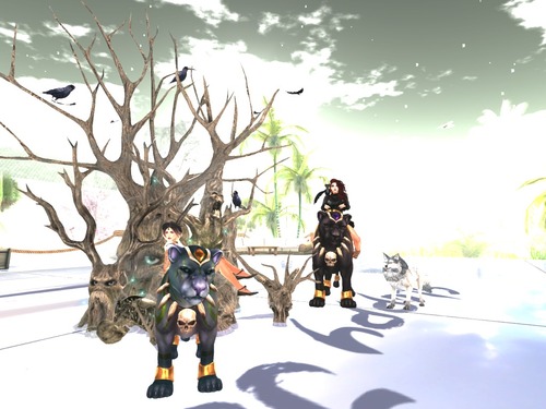 Web 557d3b5c128cc9214b000001