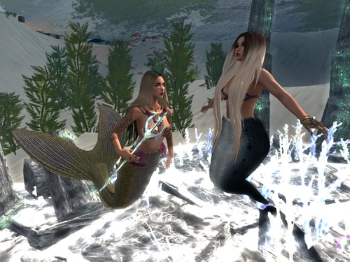 Web 557e9fc2f8a1ec6698000001