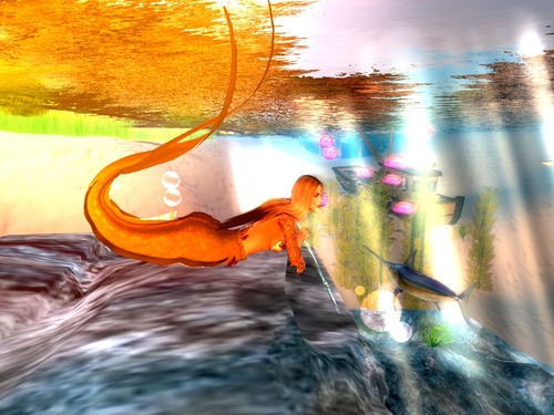 Web 55809b48f8a1ec7355000001